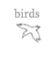 tag-birds